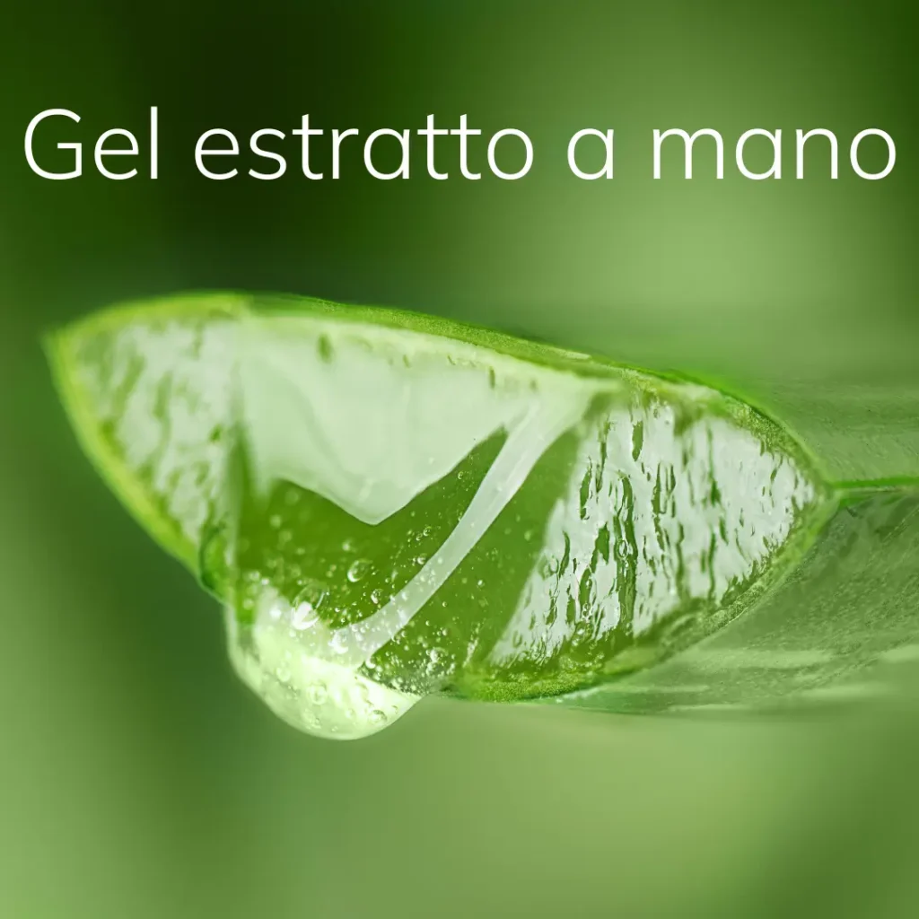 Gel aloe vera estratto a mano