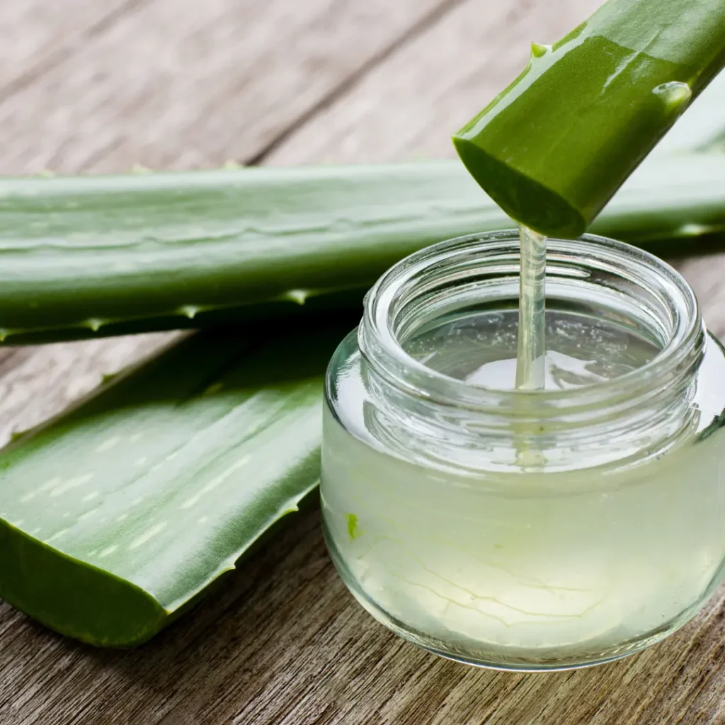 Estratto Aloe Vera